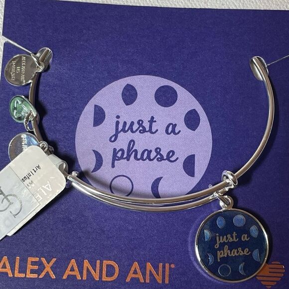 Alex & Ani Just a Phase bracelet NIB - Picture 2 of 6